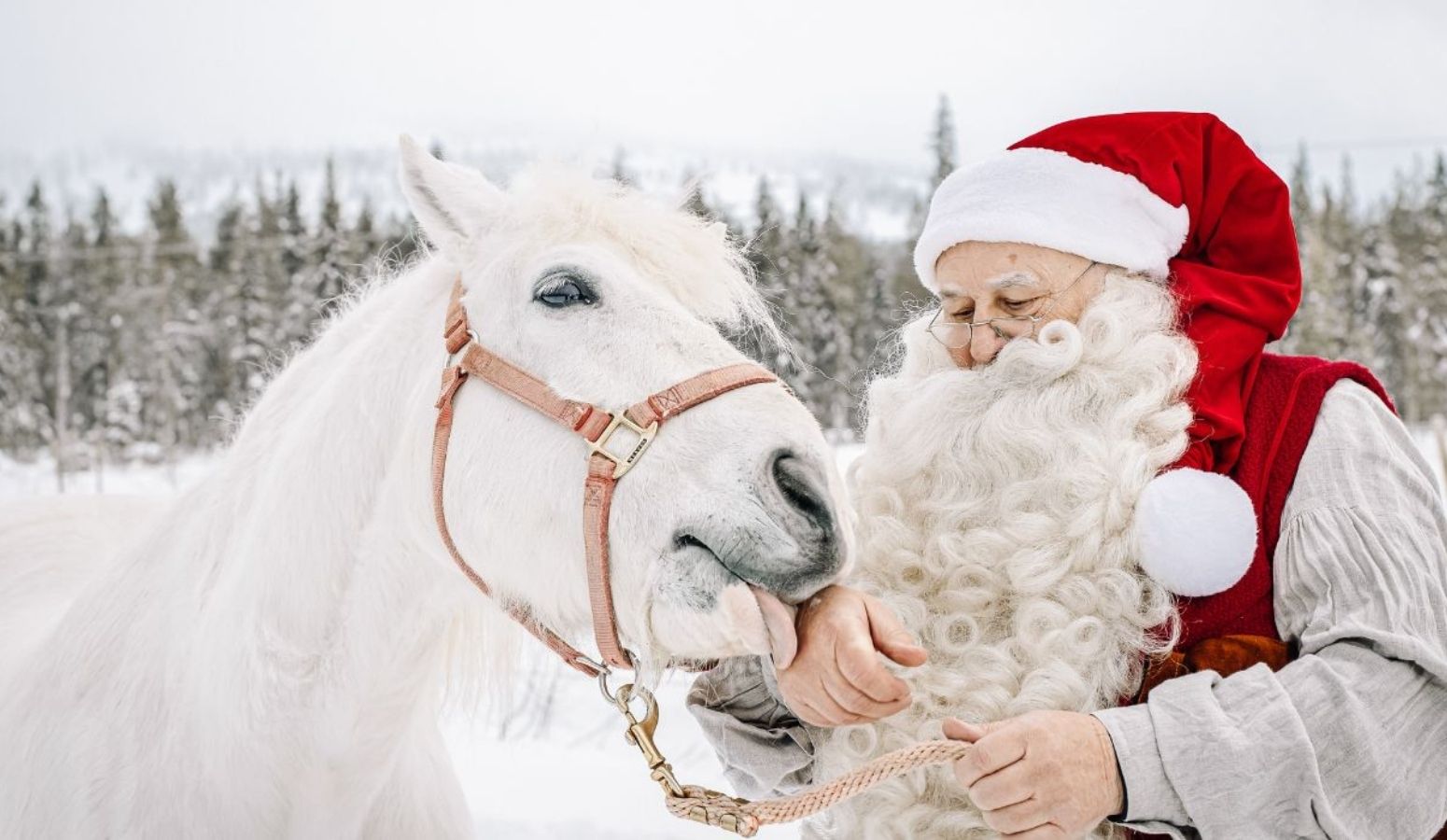 lapland-trip-epiphany-rukan-salonki